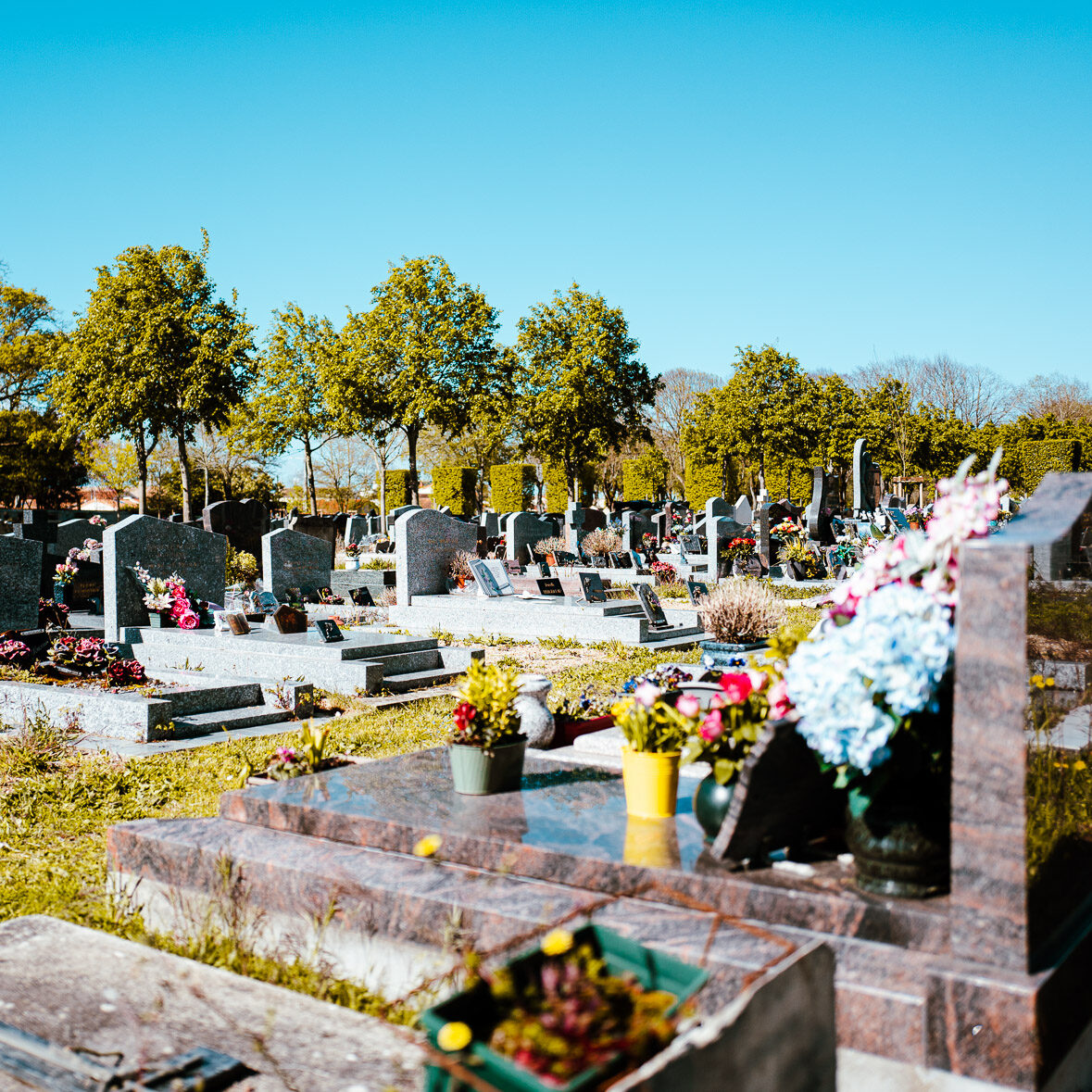 Entretien et fleurissement des sépultures