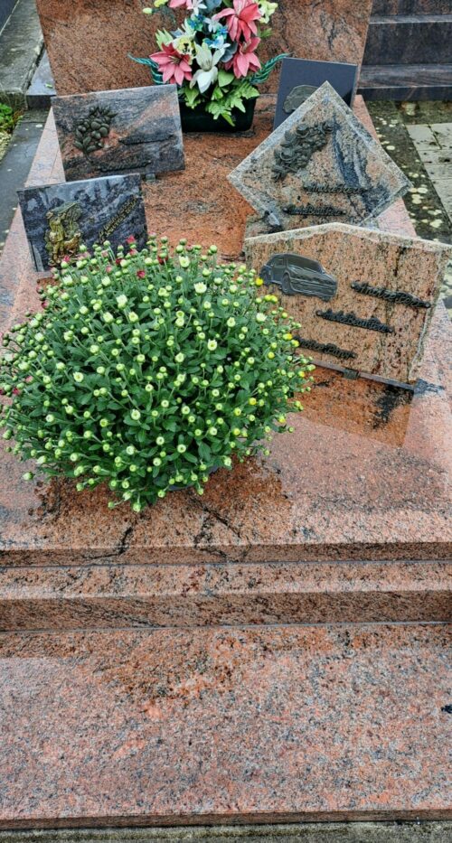 Cimetière de Sainte Soulle