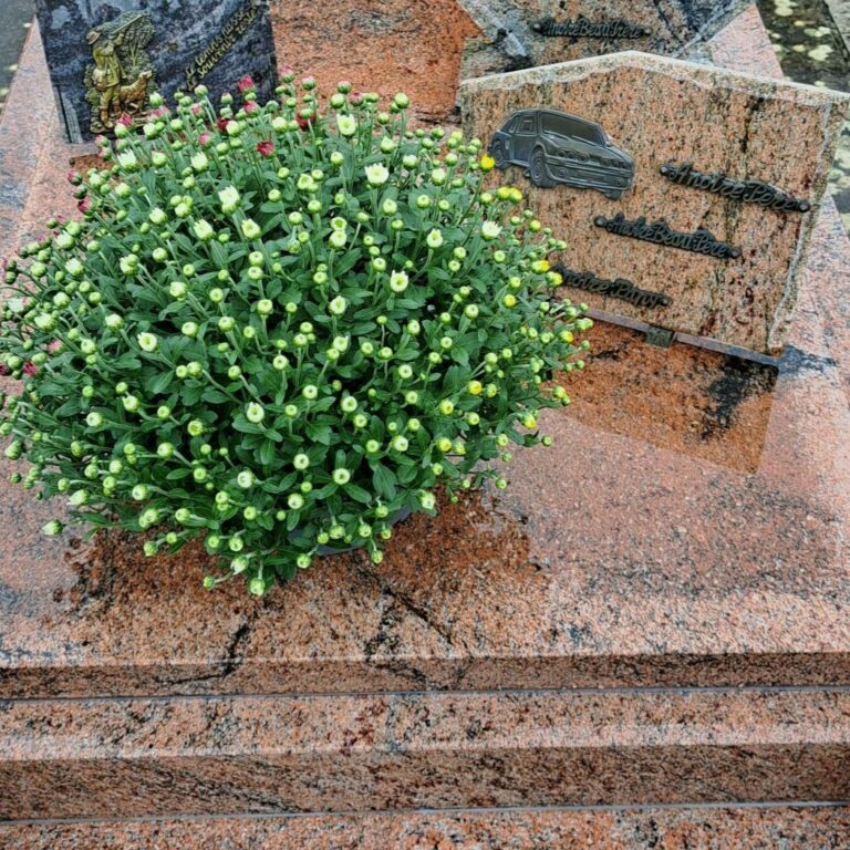 Cimetière de Sainte Soulle