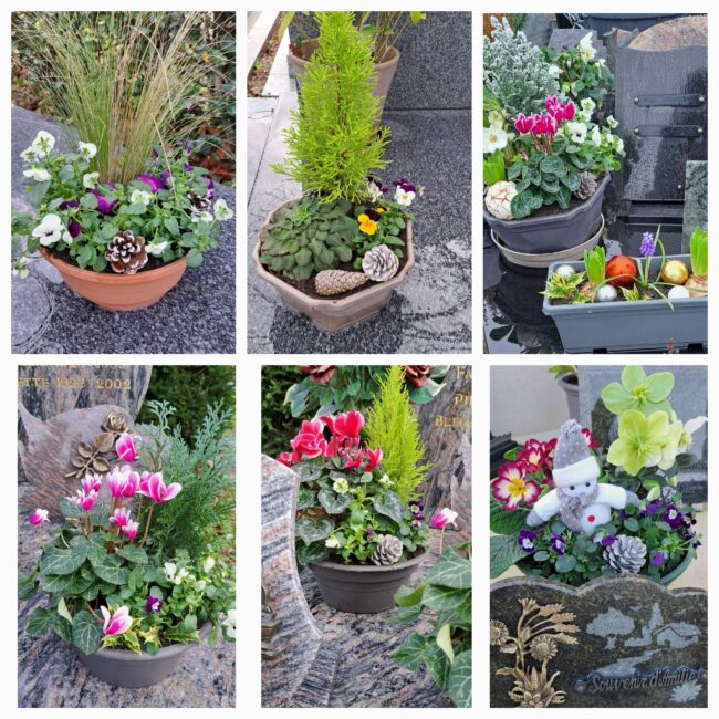 pose-de-compositions-florales